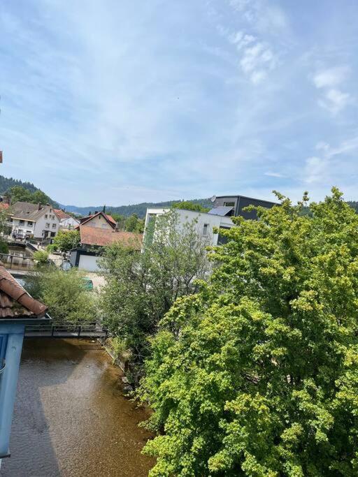 Loewen Appartement Hausach Esterno foto